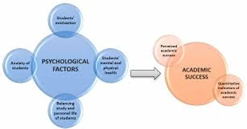 student success vs academic performance